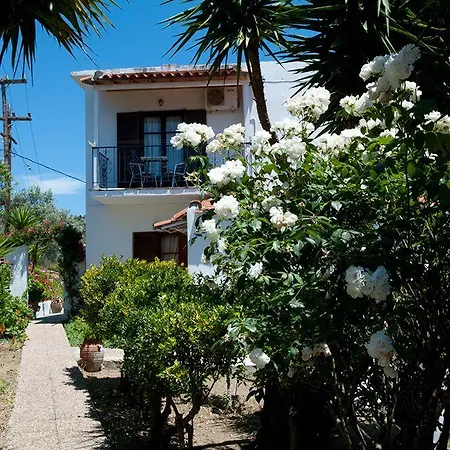 Camelia 3*